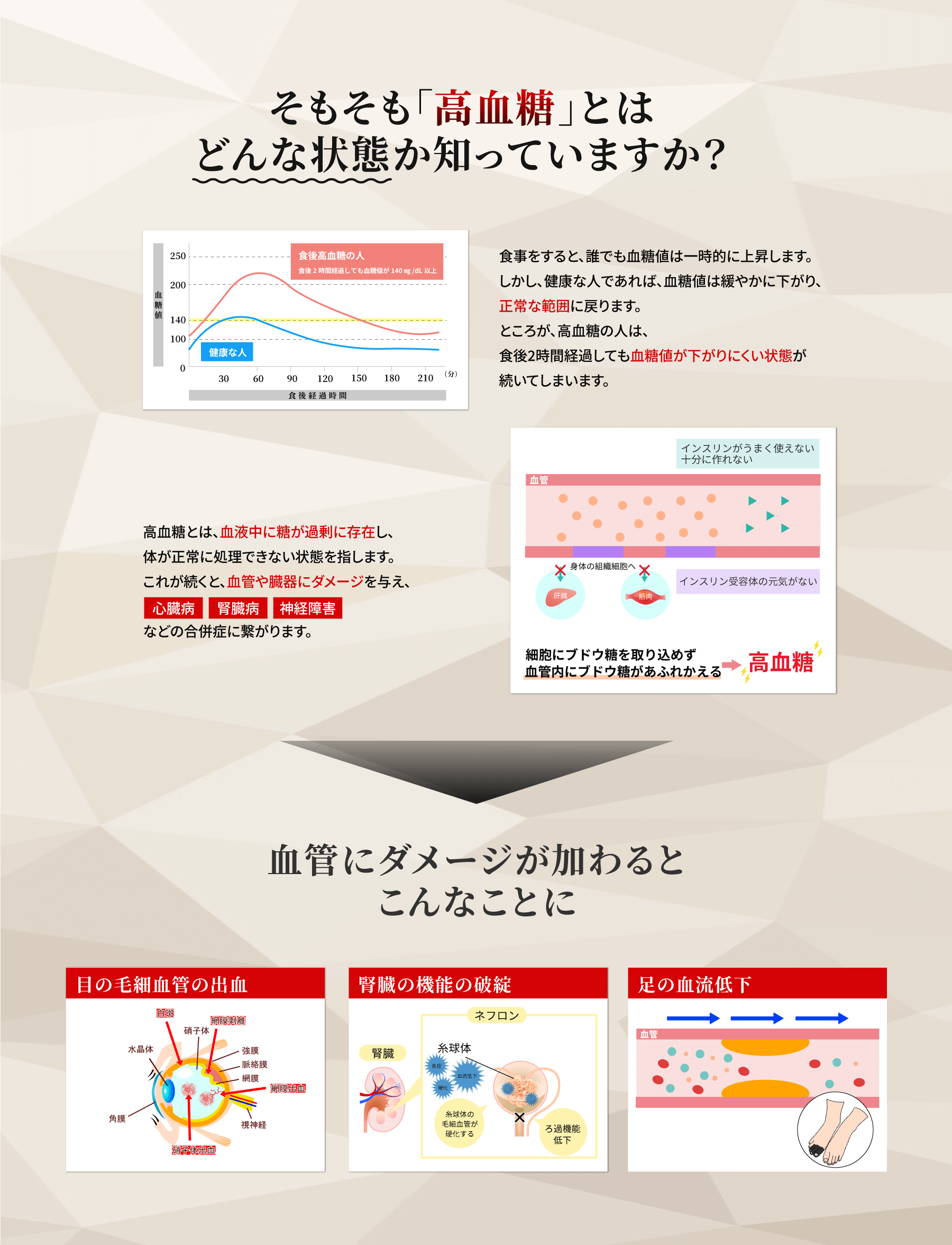 そもそも高血糖とはどんな状態かご存じですか?