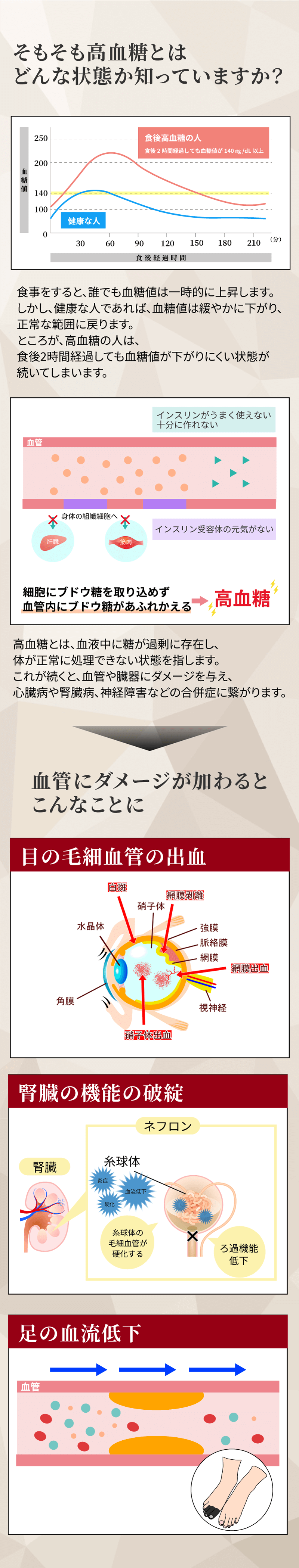 そもそも高血糖とはどんな状態かご存じですか?