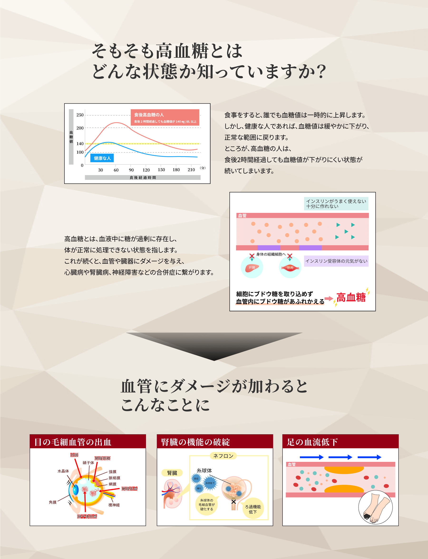 そもそも高血糖とはどんな状態かご存じですか?