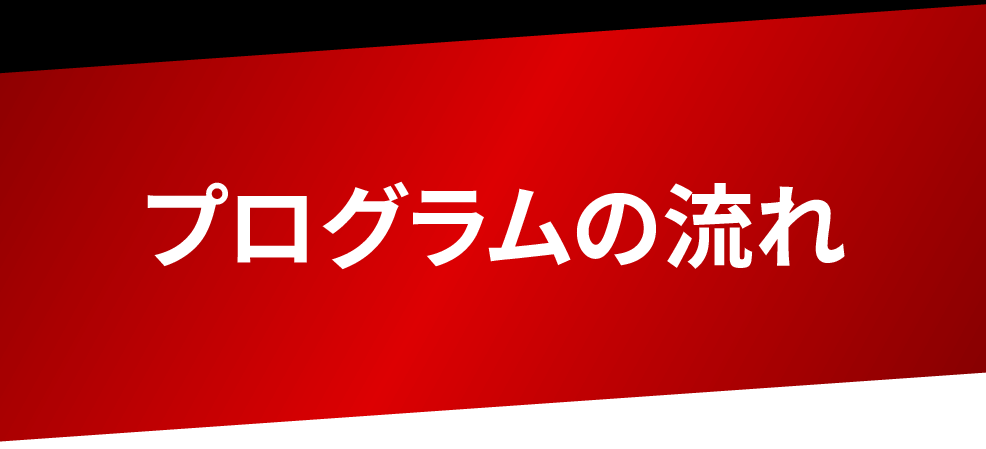 プログラムの流れ